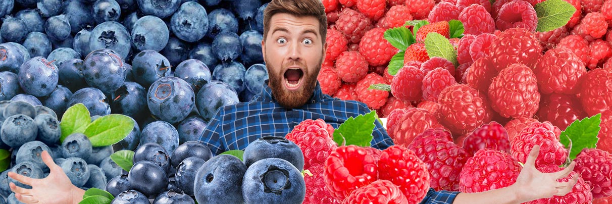 Bleuets et framboises