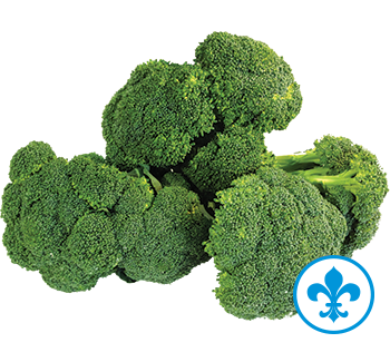 5saveurs brocoli qc