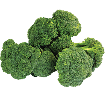 5saveurs brocoli