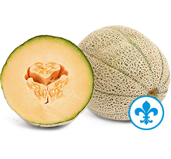 5saveurs cantaloup qc