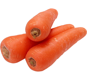 5saveurs carotte