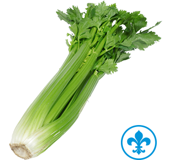 5saveurs celeri qc