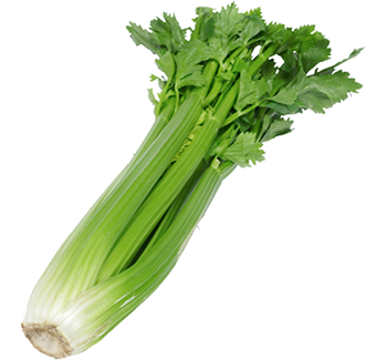 5saveurs celeri