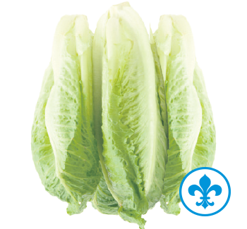 5saveurs coeur romaine qc