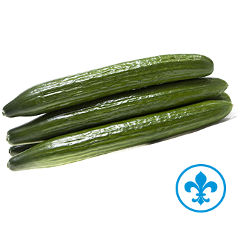 5saveurs concombres anglais qc