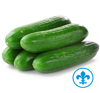 5saveurs concombres champs qc