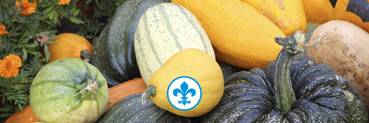 Courges variées
