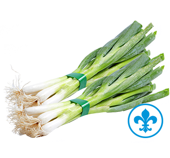 5saveurs echalote qc