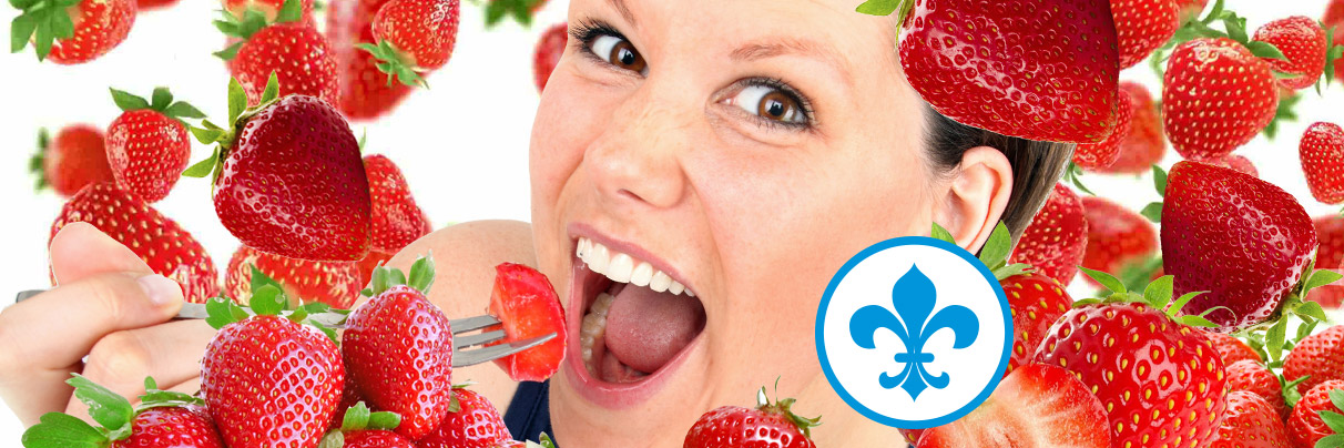 Fraises du Québec