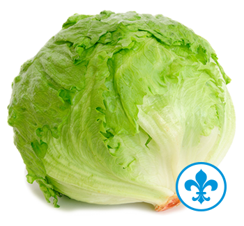 5saveurs laitue iceberg qc