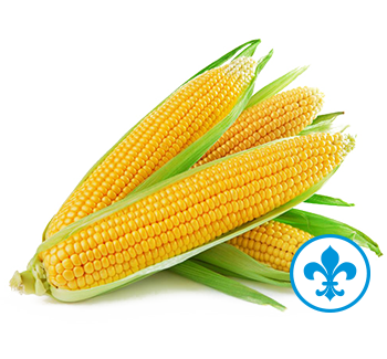 5saveurs mais