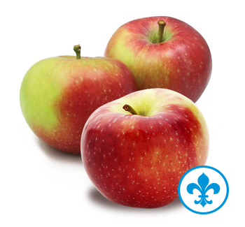 5saveurs pomme lobo