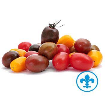 5saveurs tomates cerises couleurs qc