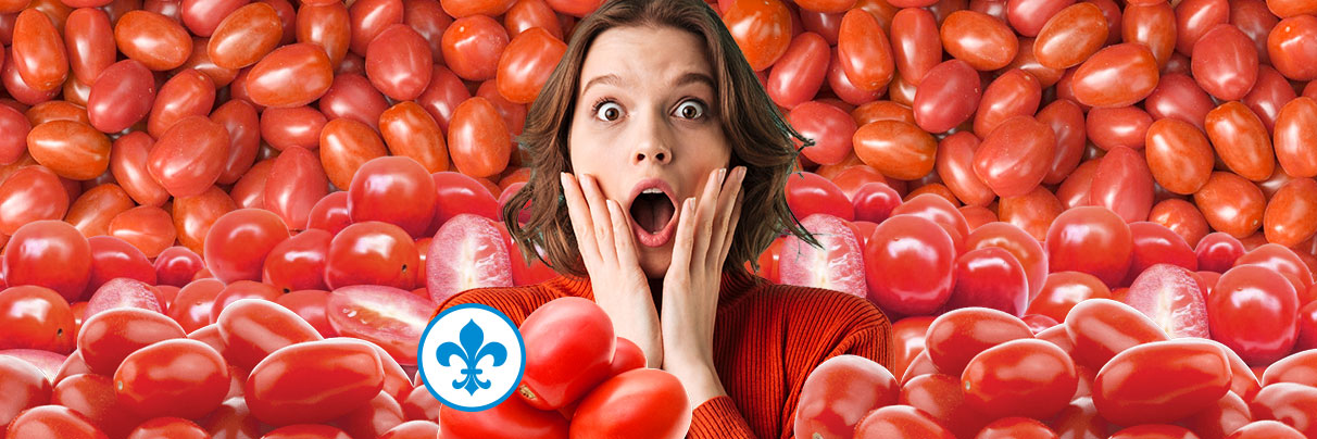 Tomates rouges raisin Qc
