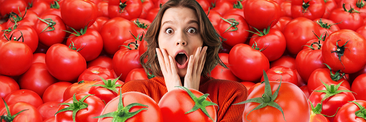 Tomates rouges